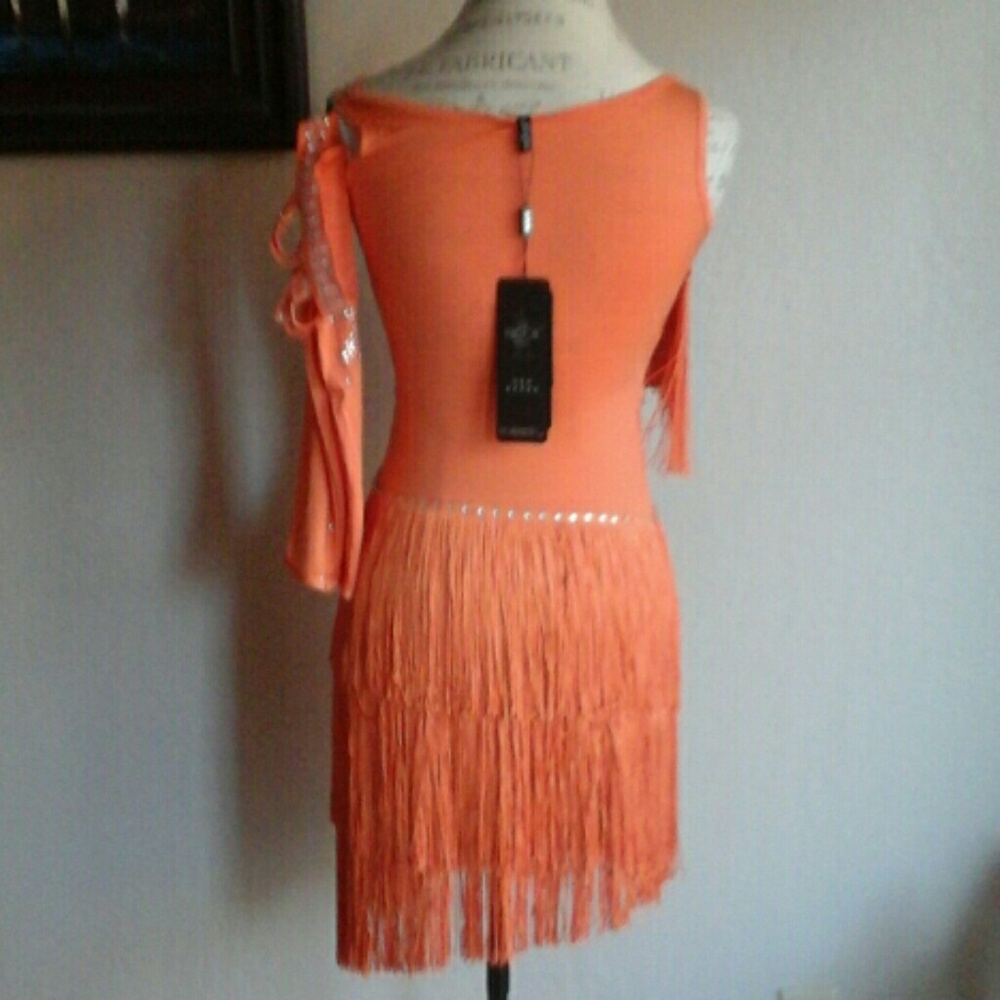Professional Dance Dress - Picture 3 of 5